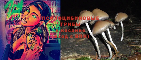 гашик Балабаново
