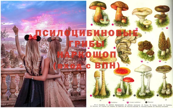 гашик Балабаново