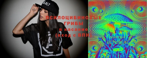 гашик Балабаново