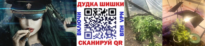 гидра маркетплейс  Сафоново  Бошки марихуана сатива 